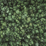 Gondwana Foliage VII Small (560mm W x 465mm H) / Standard Clear Glass