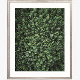 Gondwana Foliage VII Small (560mm W x 465mm H) / Standard Clear Glass