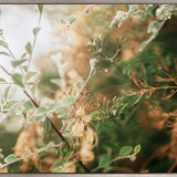 Gondwana Foliage VIII (Canvas) Large (1109mm W x 903mm H)
