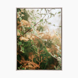Gondwana Foliage VIII (Canvas)