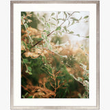 Gondwana Foliage VIII Small (560mm W x 465mm H) / Standard Clear Glass