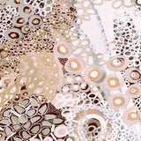 Guurrawin Dreaming I X-Large (1000mm W x 1400mm H) / Clear Acrylic