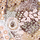 Guurrawin Dreaming III X-Large (1000mm W x 1400mm H) / Clear Acrylic