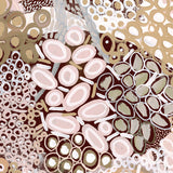 Guurrawin Dreaming V X-Large (1000mm W x 1400mm H) / Clear Acrylic