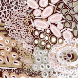 Guurrawin Dreaming VI X-Large (1000mm W x 1400mm H) / Clear Acrylic