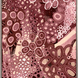Guurrawin Dreaming XIII (Canvas) Large (903mm W x 1109mm H)