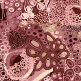 Guurrawin Dreaming XV X-Large (1000mm W x 1400mm H) / Clear Acrylic