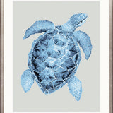 Grand Cayman IV