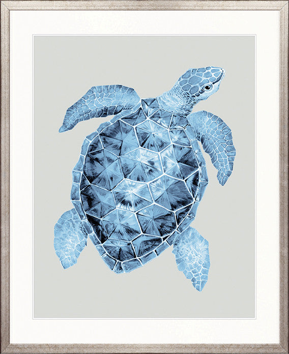 Grand Cayman IV