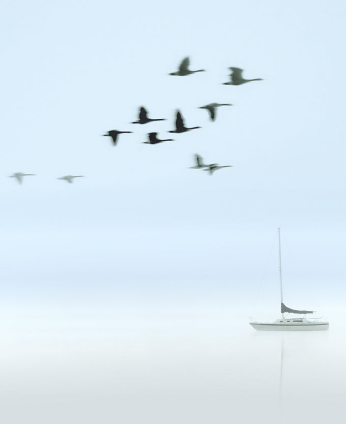 Harbour Drift I (Canvas)