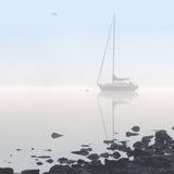 Harbour Drift IV