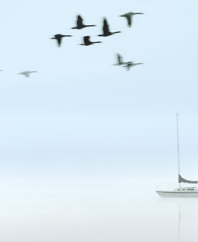 Harbour Drift V