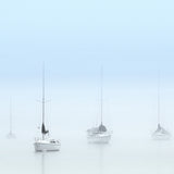 Harbour Drift VIII
