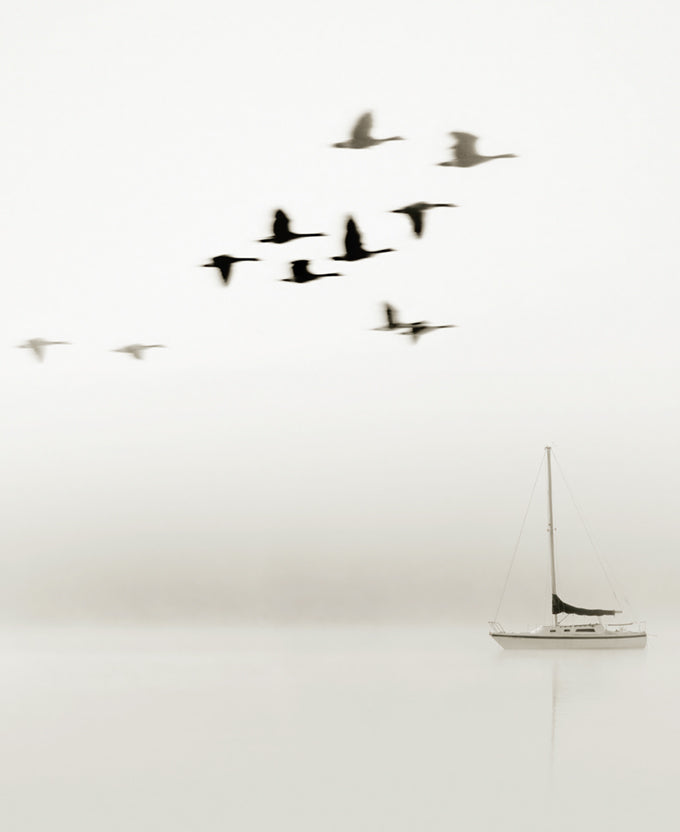 Harbour Drift IX