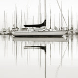Harbour Drift X