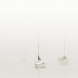 Harbour Drift XI