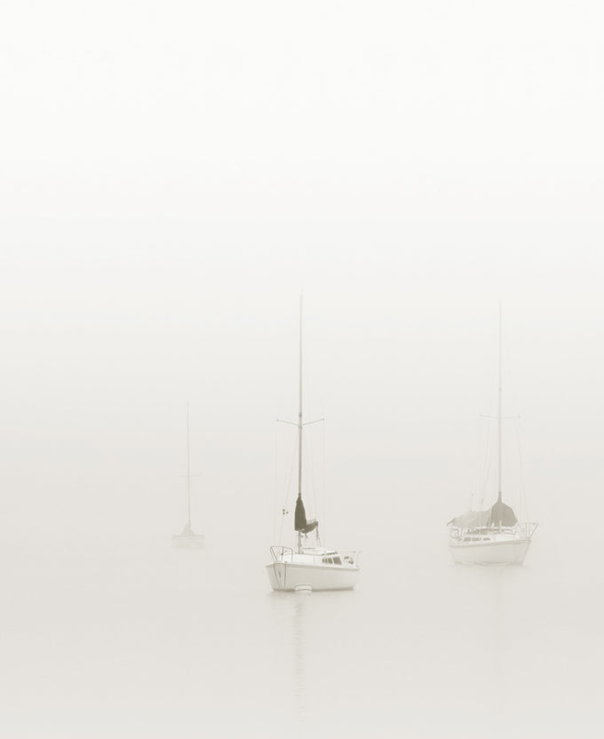 Harbour Drift XI