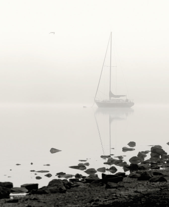 Harbour Drift XII
