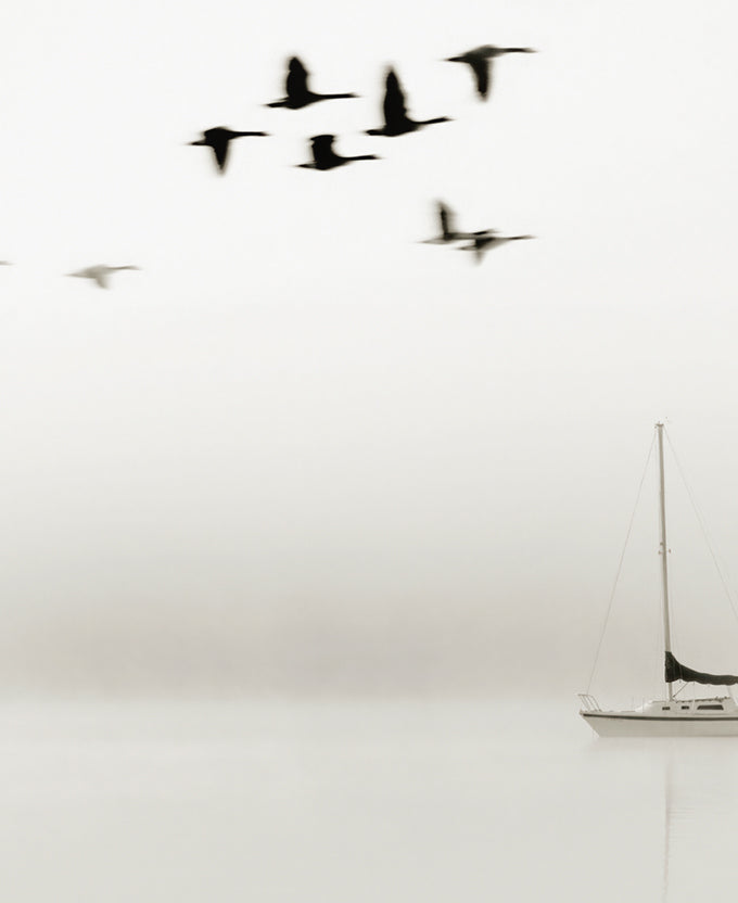 Harbour Drift XIII