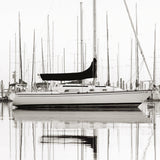 Harbour Drift XIV