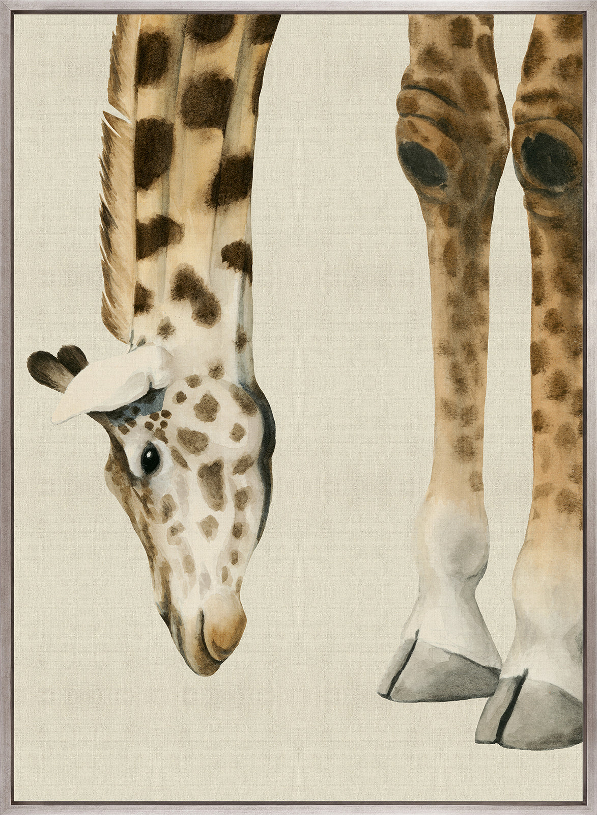 Heads And Tales II (Canvas)