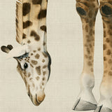 Heads And Tales II (Canvas) Large (903mm W x 1109mm H)