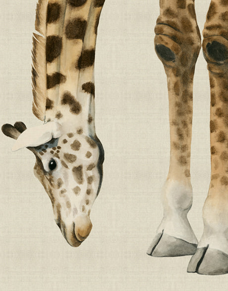 Heads And Tales II (Canvas)