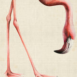 Heads And Tales III (Canvas) Large (903mm W x 1109mm H)