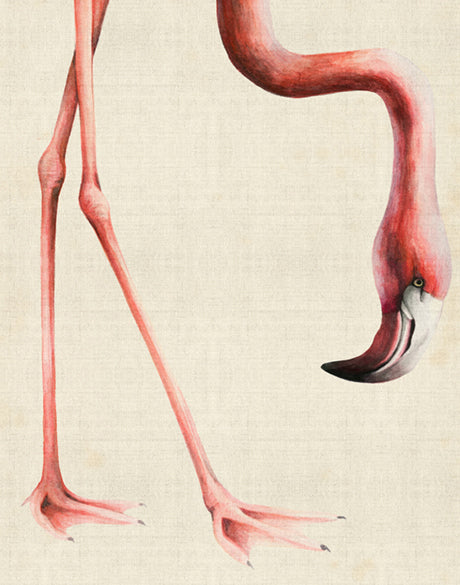 Heads And Tales III (Canvas)