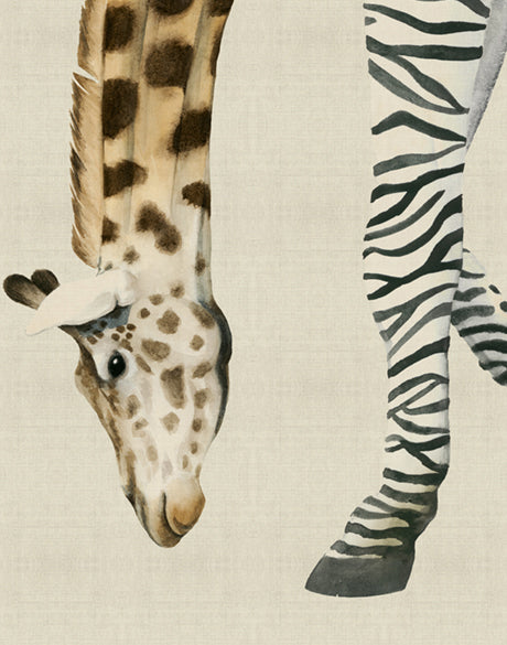 Heads And Tales IV (Canvas)