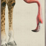 Heads And Tales VI (Canvas) Large (903mm W x 1109mm H)