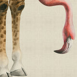 Heads And Tales VI (Canvas) Large (903mm W x 1109mm H)