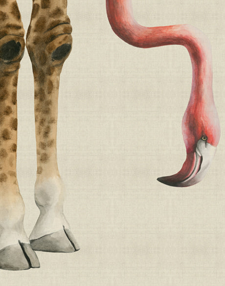 Heads And Tales VI (Canvas)