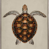 Majestic Turtle I (Canvas)