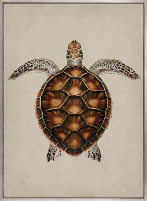 Majestic Turtle I (Canvas)