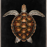 Majestic Turtle IV (Canvas)