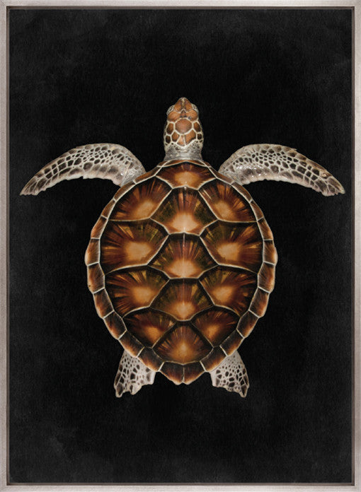Majestic Turtle IV (Canvas)
