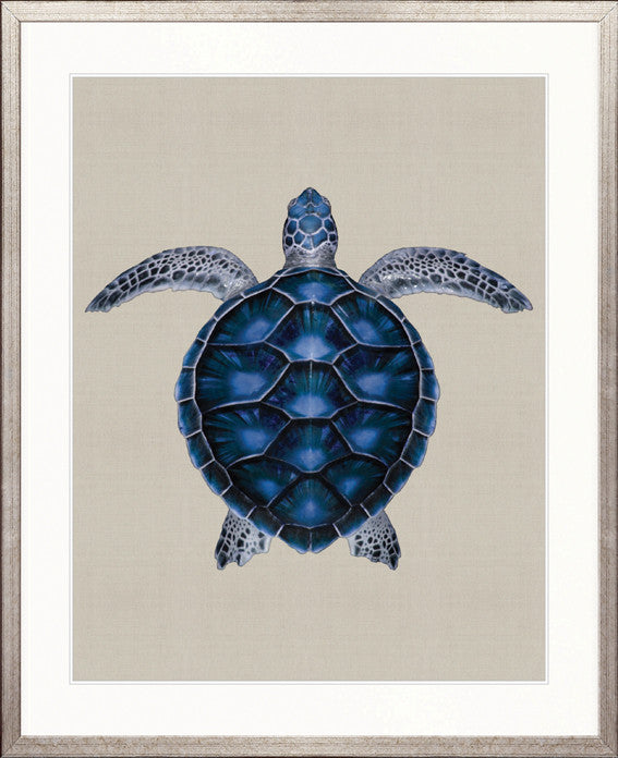 Majestic Turtle V