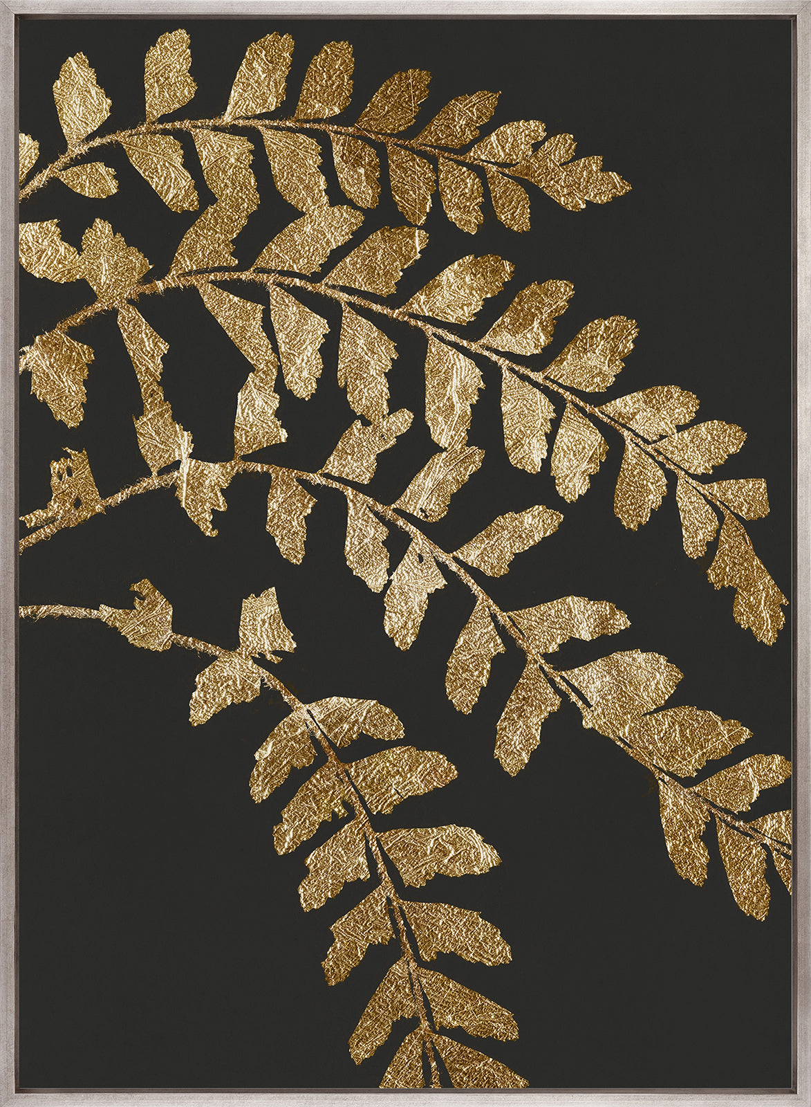 Herbarium II (Canvas)