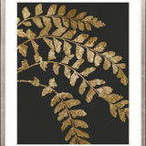 Herbarium II Small (465mm W x 560mm H) / Standard Clear Glass