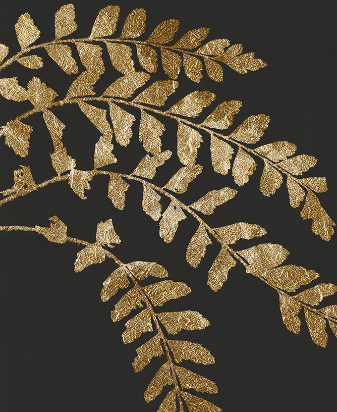 Herbarium II