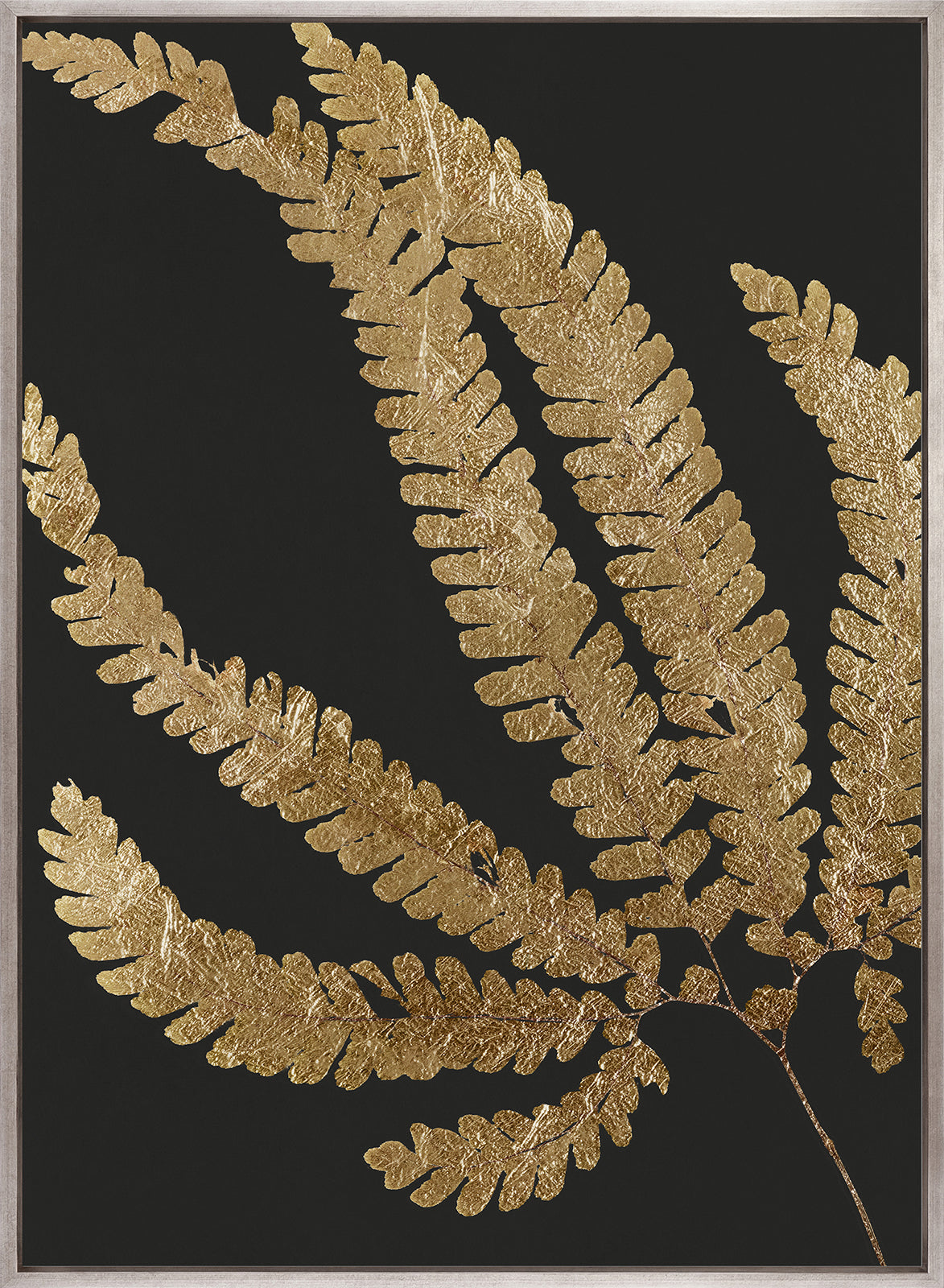 Herbarium III (Canvas)