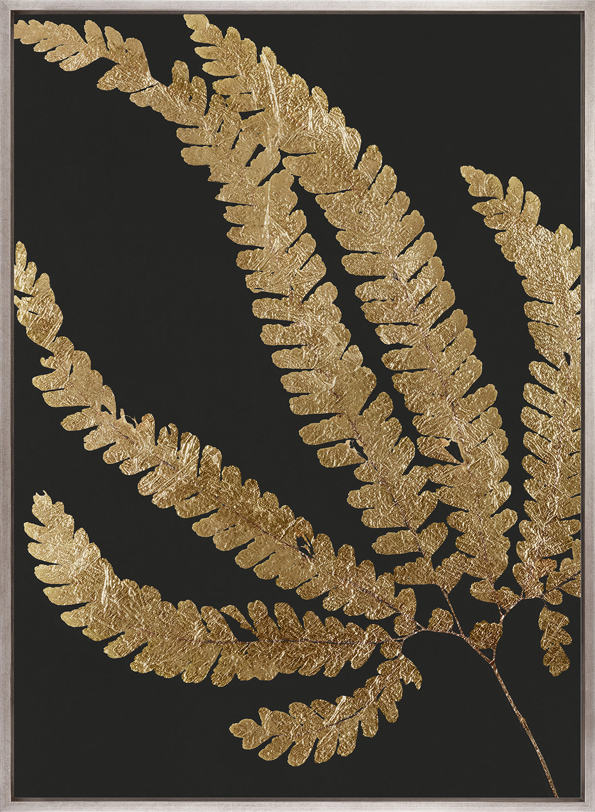 Herbarium III (Canvas)