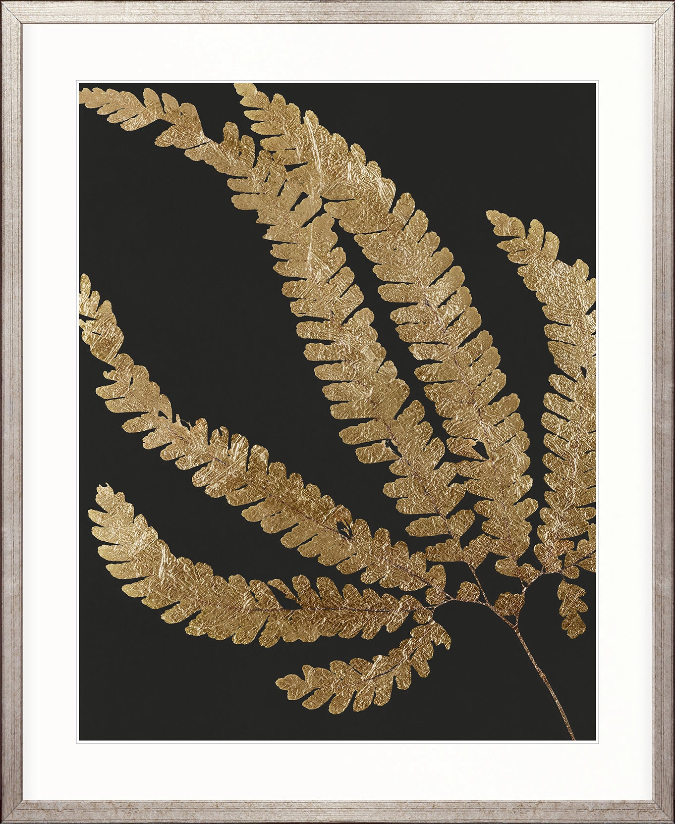 Herbarium III