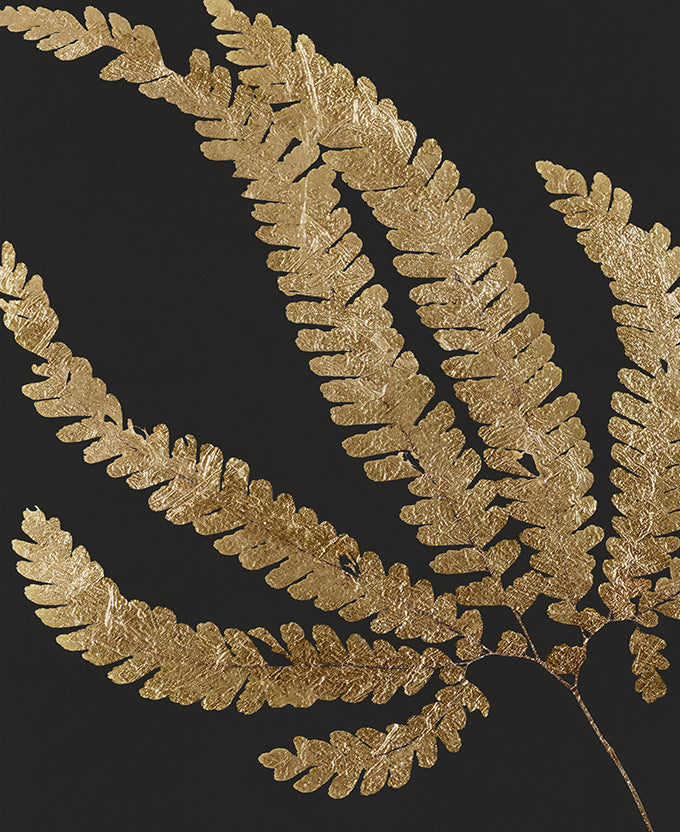 Herbarium III