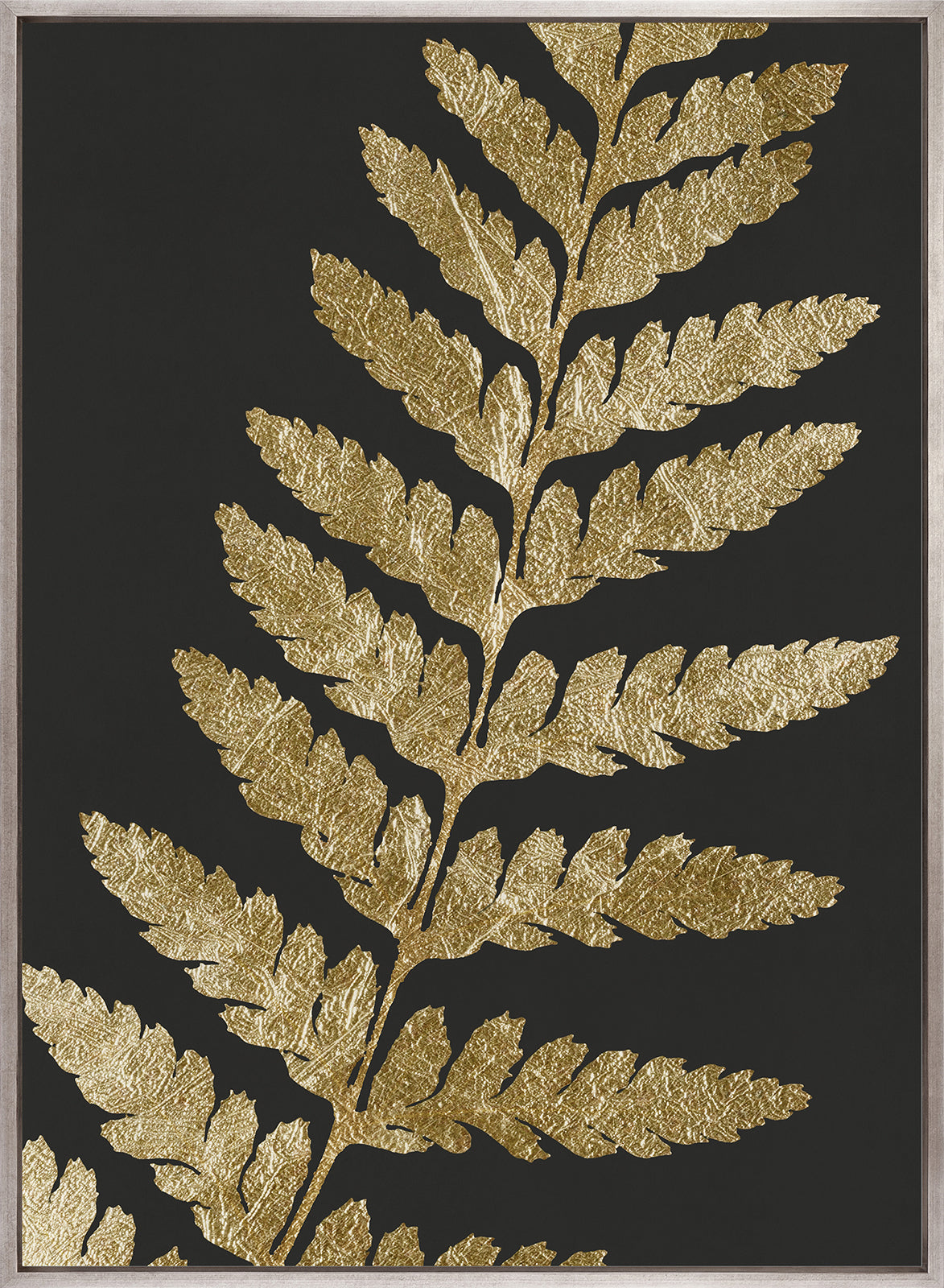 Herbarium IV (Canvas)