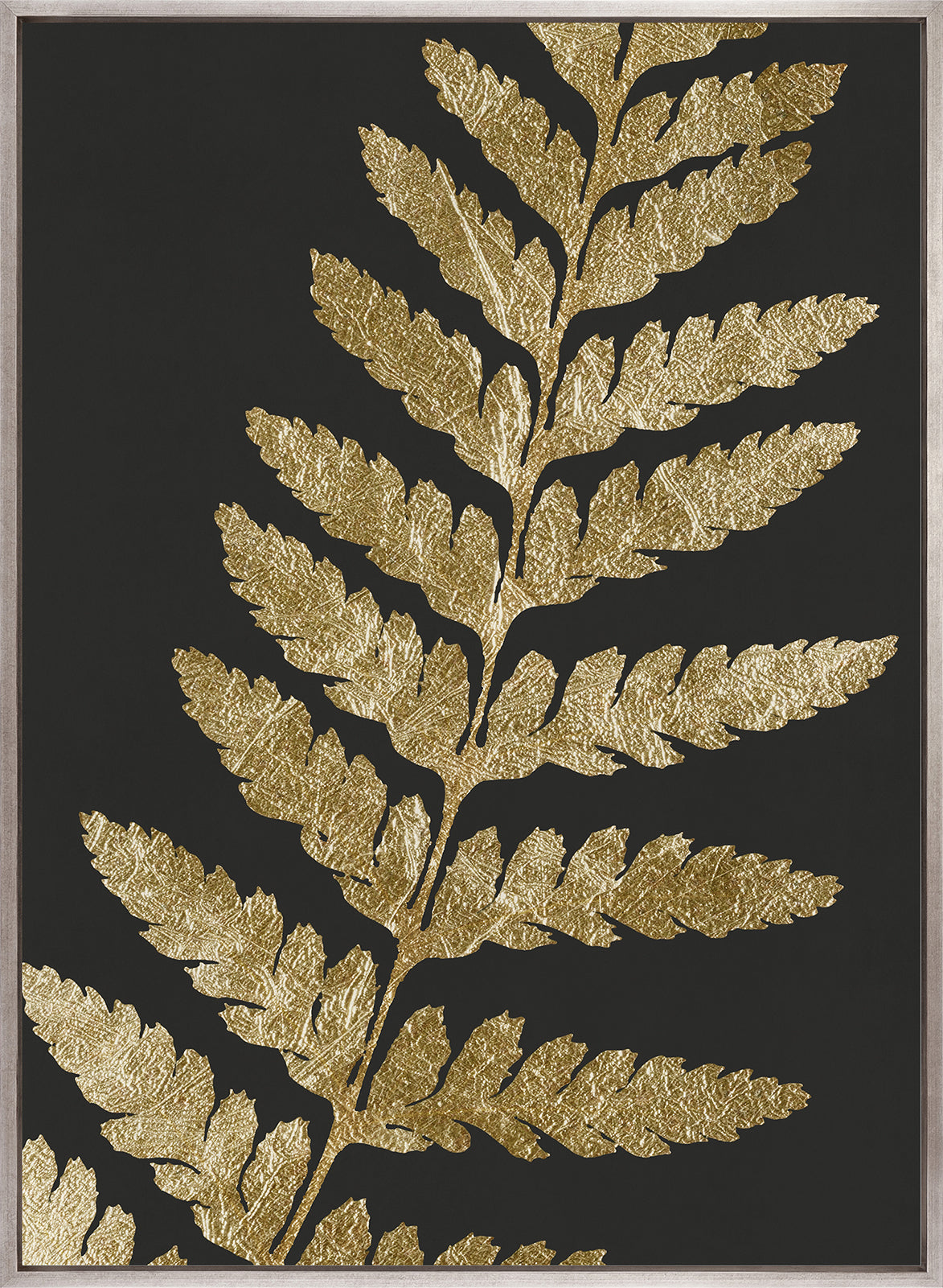 Herbarium IV (Canvas)