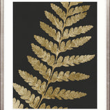 Herbarium IV Small (465mm W x 560mm H) / Standard Clear Glass