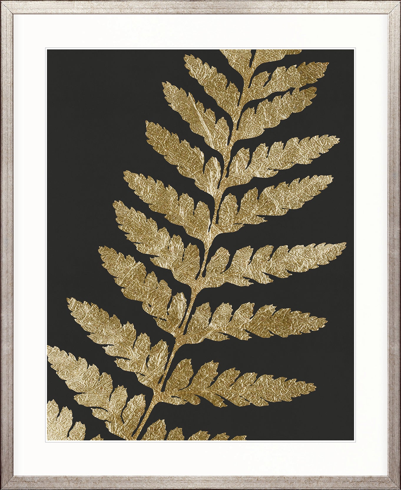 Herbarium IV