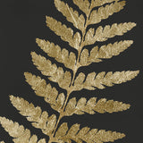 Herbarium IV Small (465mm W x 560mm H) / Standard Clear Glass